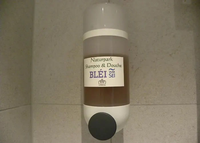 城市酒店 酒店 卢森堡